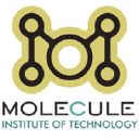 moleculetechnologies.com