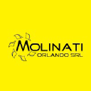 molinati.com