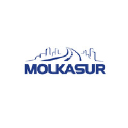 molkasur.com.ar