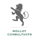 molloyconsultants.com