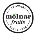 molnarfruit.com
