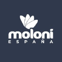 moloni.es