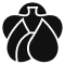 Logo for momotarojeans.net