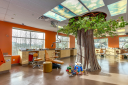 Monarch Pediatric Dental Centre logo