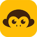 monkey.com
