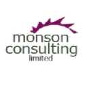 monsonconsulting.co.uk