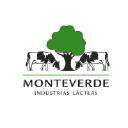 monteverdesa.com