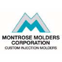 montrosemolders.com