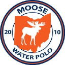 moose.team