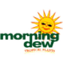 morningdewtropical.com