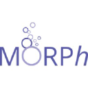 morphconsultancy.co.uk
