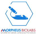 morpheusbiolabs.com
