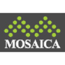 mosaicafx.com