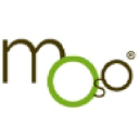 Moso Bamboo
