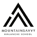 MountainSavvy LLC