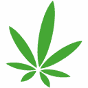 Mr. Nice Guy - Santa Ana Marijuana Cannabis Dispensary Logo