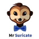 MR SURICATE