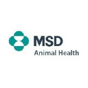 msd-animal-health.com