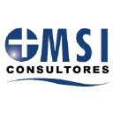 msi-consultores.cl