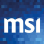 Msi Auditors logo