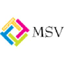 msv.com.vn