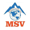 msvgroup.com