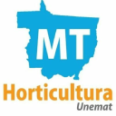 mthorticultura.com.br