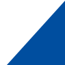 Avatar logo