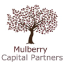 mulberrycapitalpartners.com