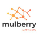 mulberrysensors.com
