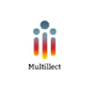 multillect.com