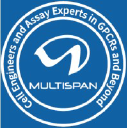 Multispan Inc