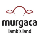 murgaca.com