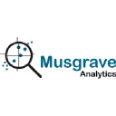 musgraveanalytics.com