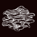 The Mushroom Emporium