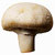 mushroompublishing.com