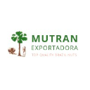 mutranexportadora.com