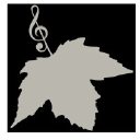 Maple Valley Youth Symphony Orchestra