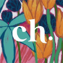 chapter aesthetic studio
