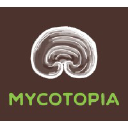 mycotopiaslc.com