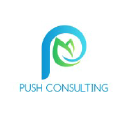 mypushconsulting.co