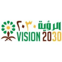 mysaudivision2030.com