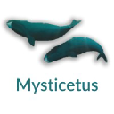 mysticetus.com