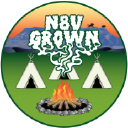 N8V Grown Logo