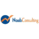 Naab Consulting logo