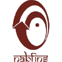 nabfins.org