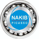 nakibpicasso.com