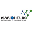 nanohelix.net