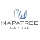 napatreecapital.com