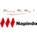napindo.com